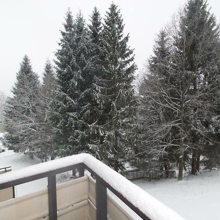 Ferienwohnung Mit Blick In Den Bayrischen Wald Oberhalb Von Sankt Engelmar Sankt Englmar Extérieur photo