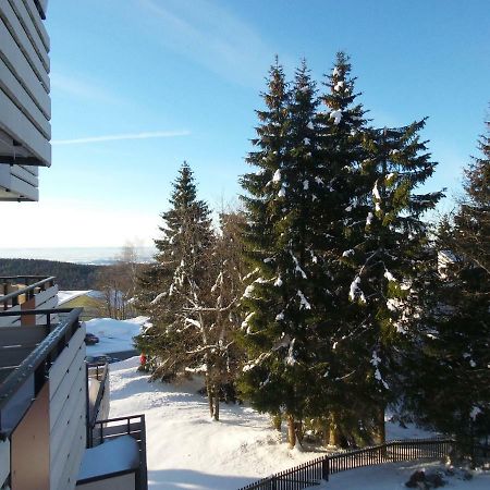 Ferienwohnung Mit Blick In Den Bayrischen Wald Oberhalb Von Sankt Engelmar Sankt Englmar Extérieur photo