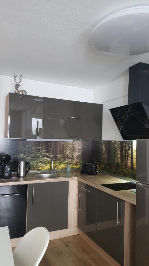 Ferienwohnung Mit Blick In Den Bayrischen Wald Oberhalb Von Sankt Engelmar Sankt Englmar Extérieur photo