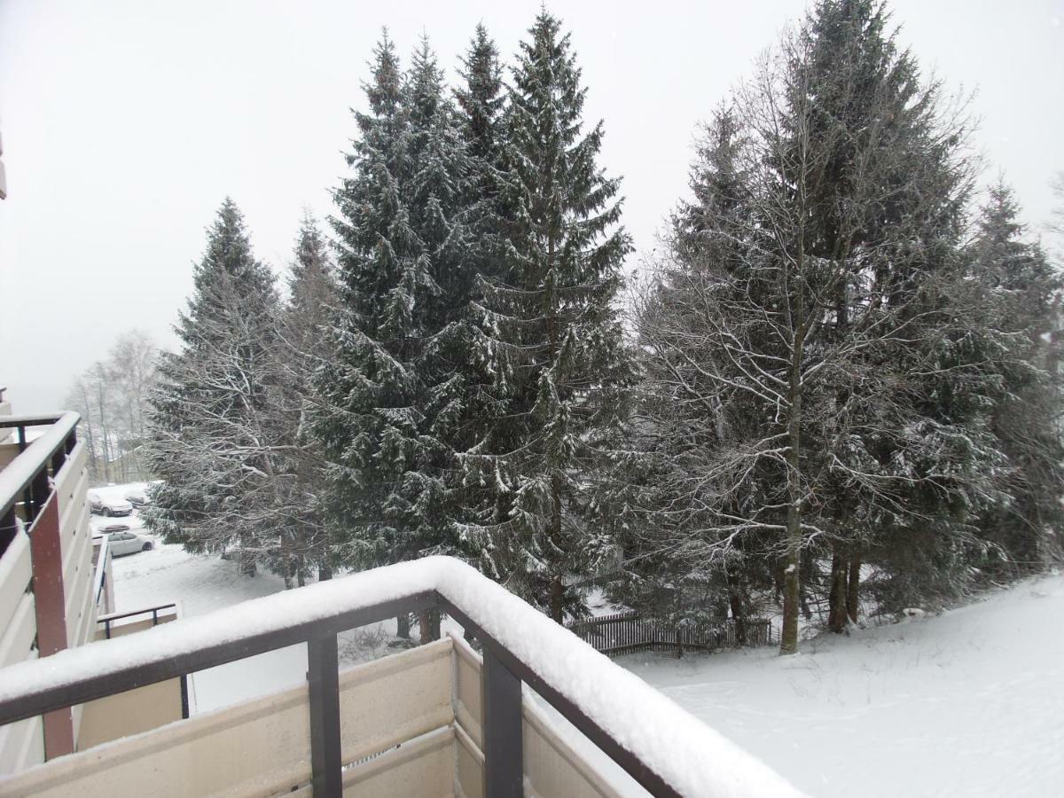 Ferienwohnung Mit Blick In Den Bayrischen Wald Oberhalb Von Sankt Engelmar Sankt Englmar Extérieur photo