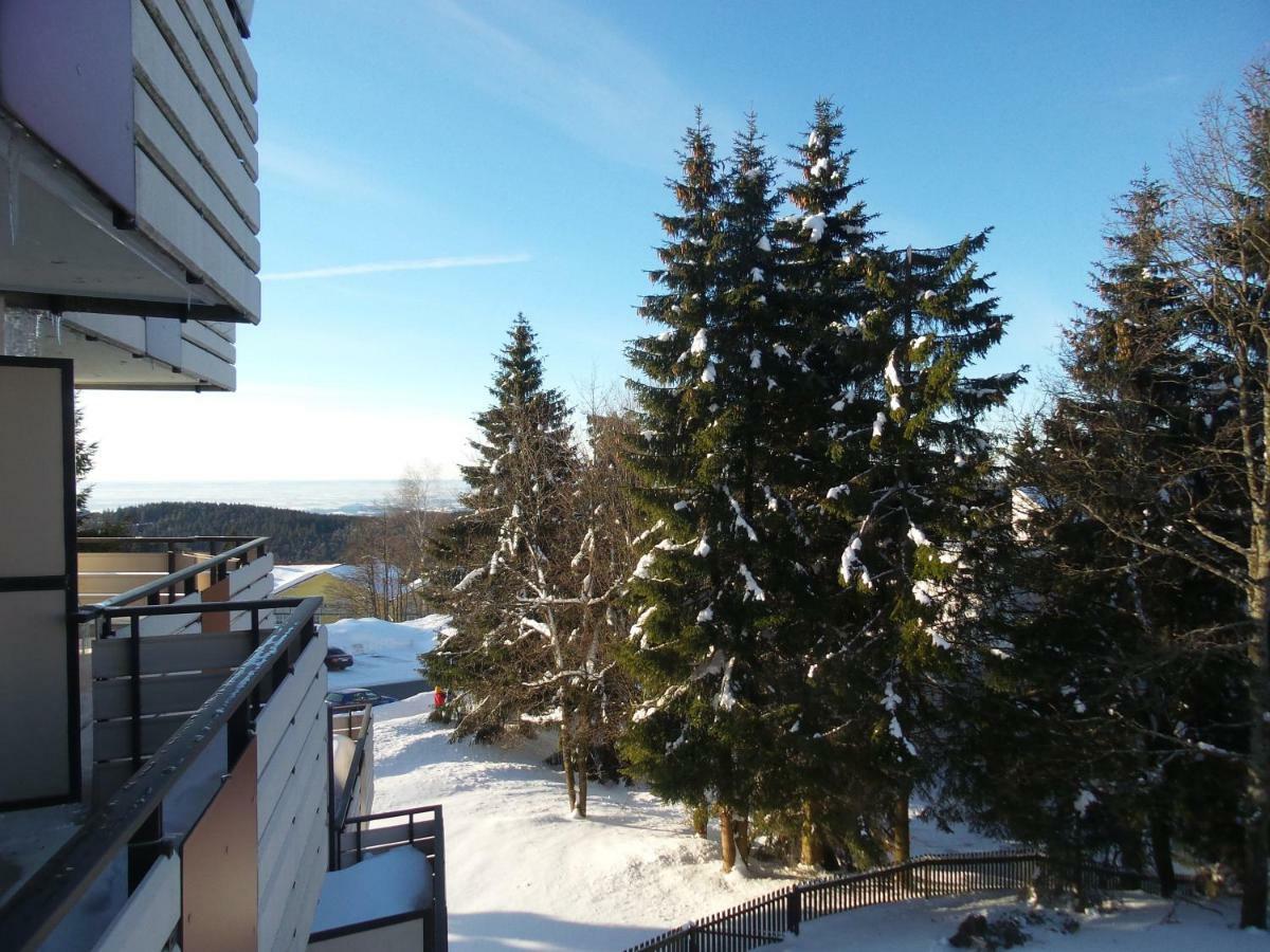 Ferienwohnung Mit Blick In Den Bayrischen Wald Oberhalb Von Sankt Engelmar Sankt Englmar Extérieur photo