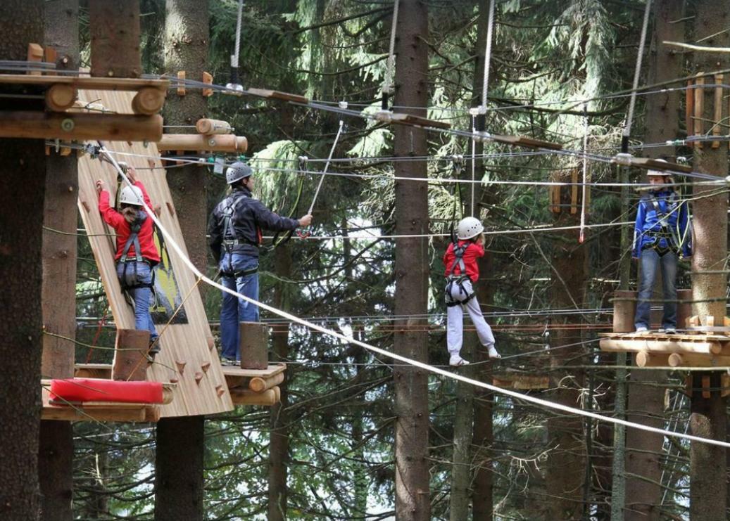 Ferienwohnung Mit Blick In Den Bayrischen Wald Oberhalb Von Sankt Engelmar Sankt Englmar Extérieur photo